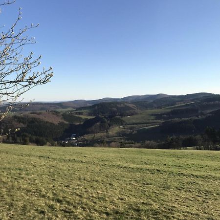 Gluehalm Willingen Villa Willingen  Ngoại thất bức ảnh