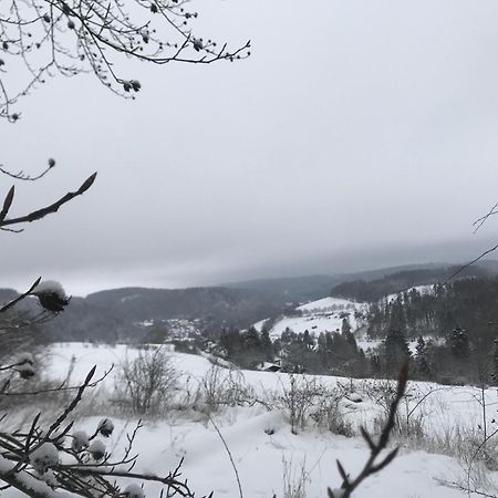 Gluehalm Willingen Villa Willingen  Ngoại thất bức ảnh