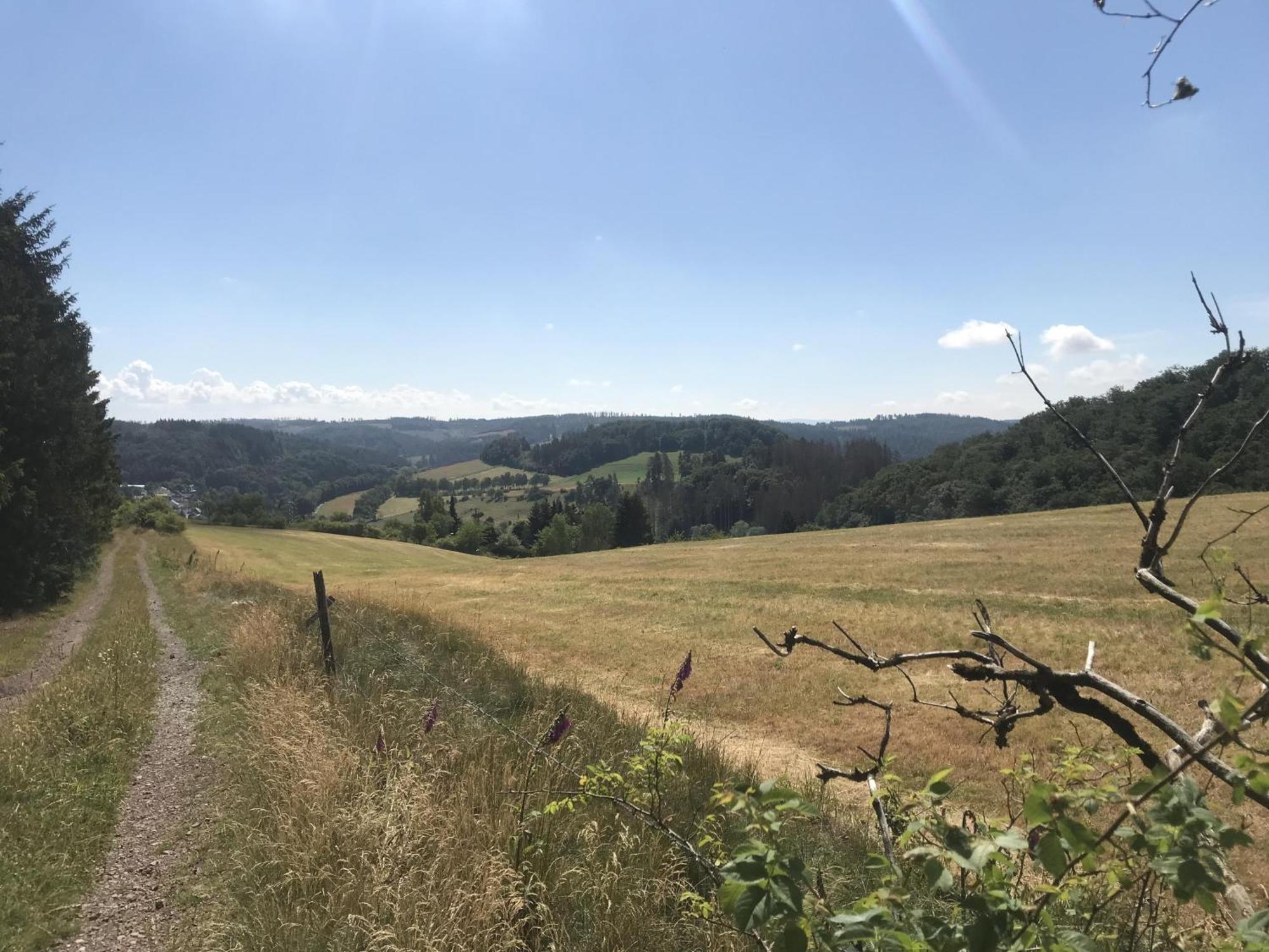 Gluehalm Willingen Villa Willingen  Ngoại thất bức ảnh
