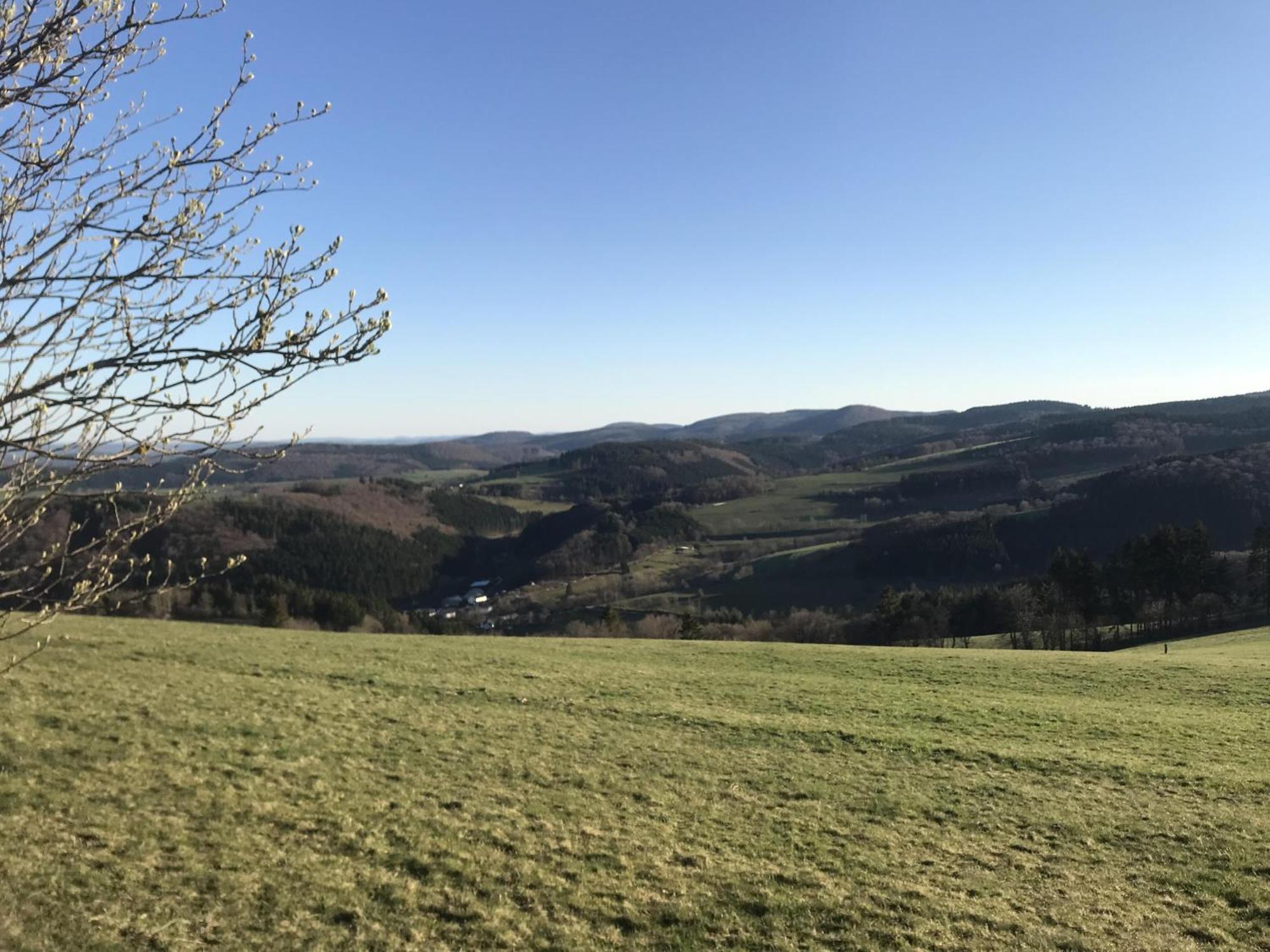 Gluehalm Willingen Villa Willingen  Ngoại thất bức ảnh