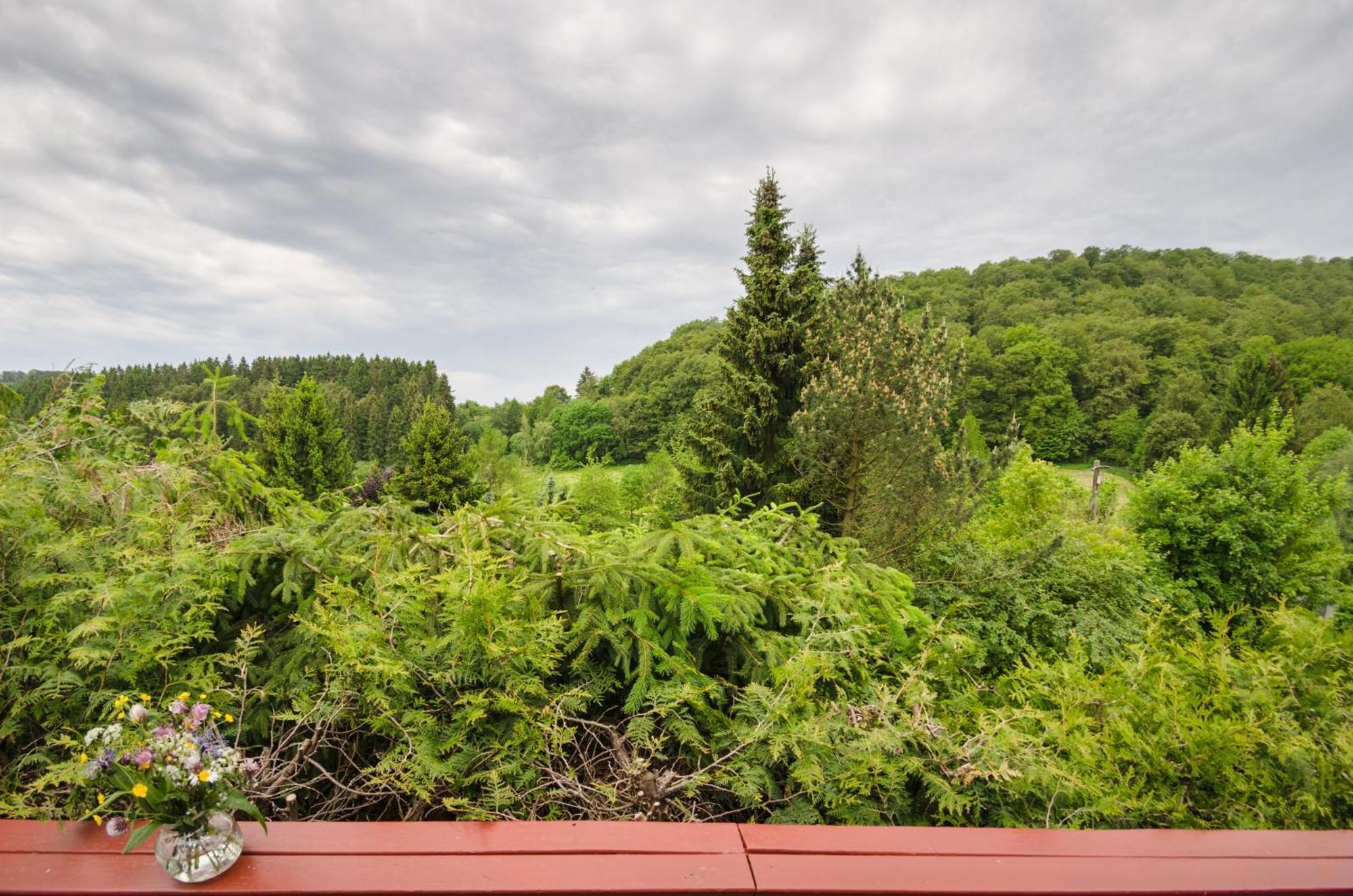 Gluehalm Willingen Villa Willingen  Ngoại thất bức ảnh